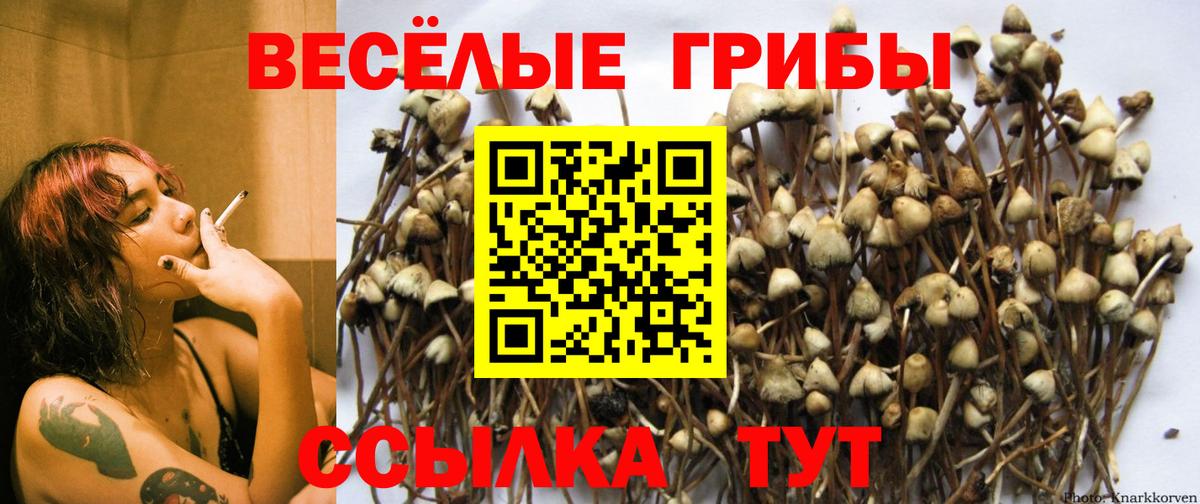 Псилоцибиновые грибы прущие грибы Нижний Тагил
